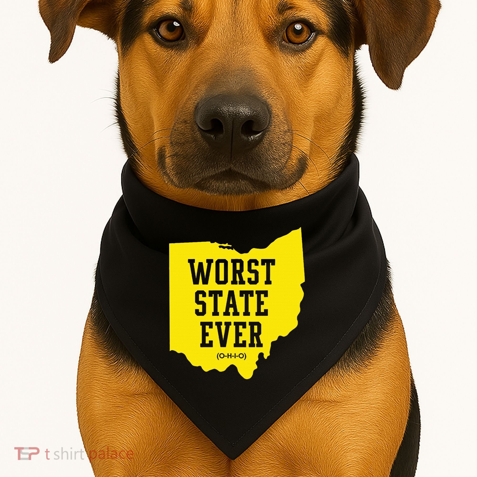 Worst State Ever Ohio USA-Made Doggie Bandana