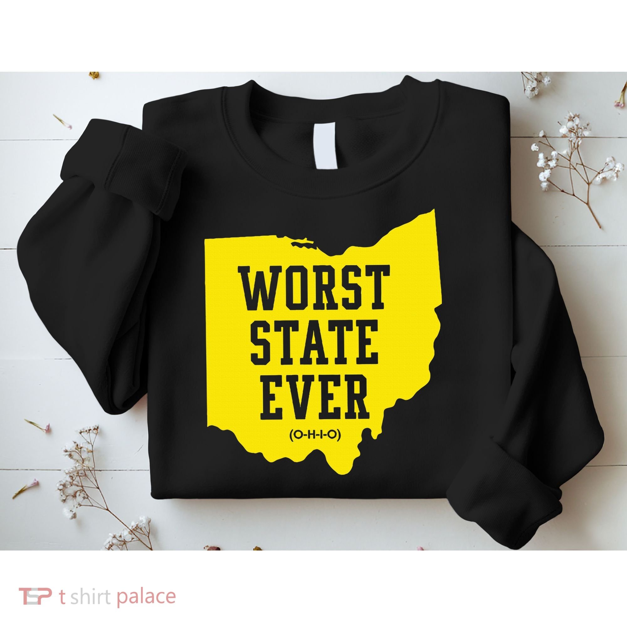 Worst State Ever Ohio Sweatshirt