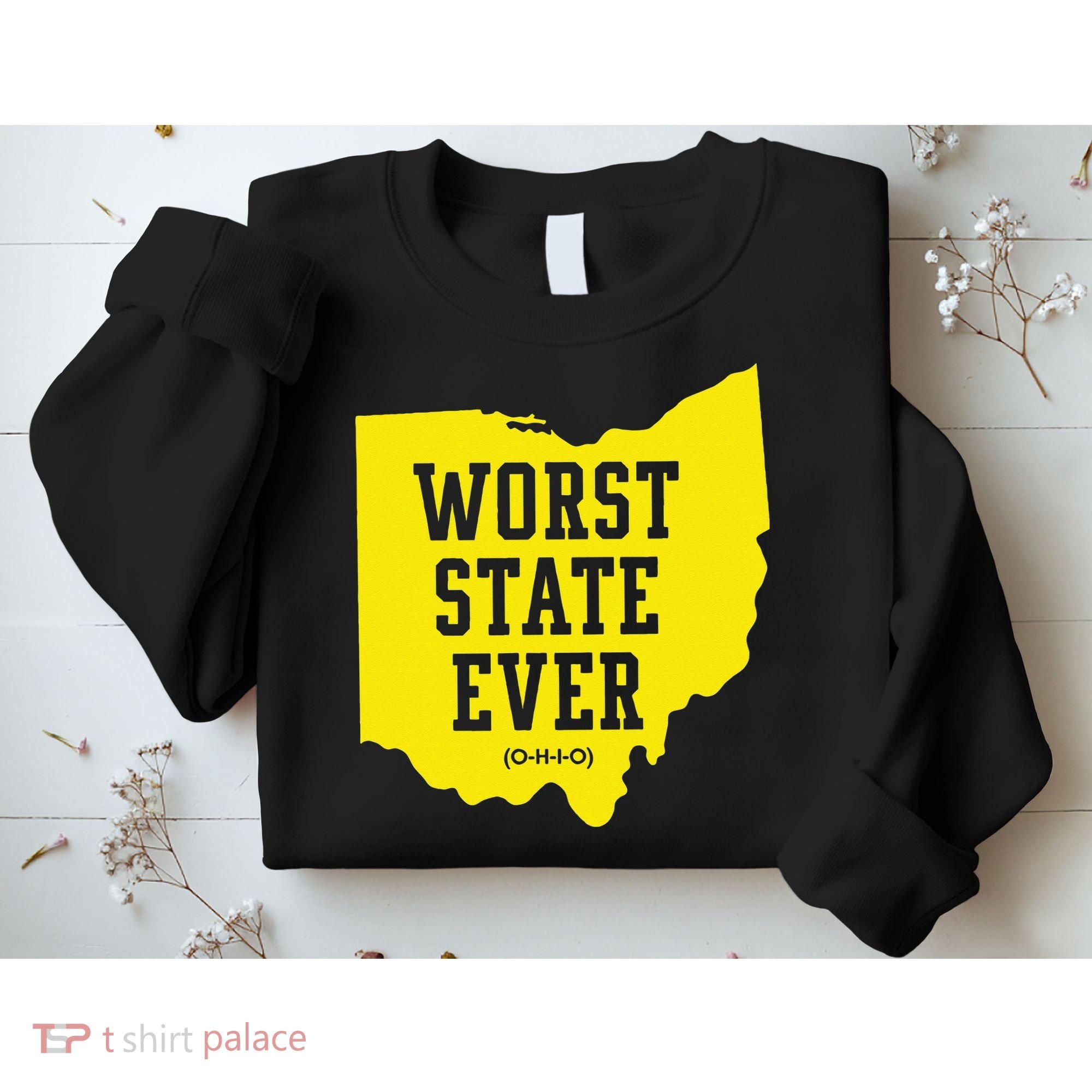 Worst State Ever Ohio Sweatshirt