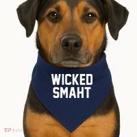 Wicked Smaht Funny USA-Made Doggie Bandana thumb 1