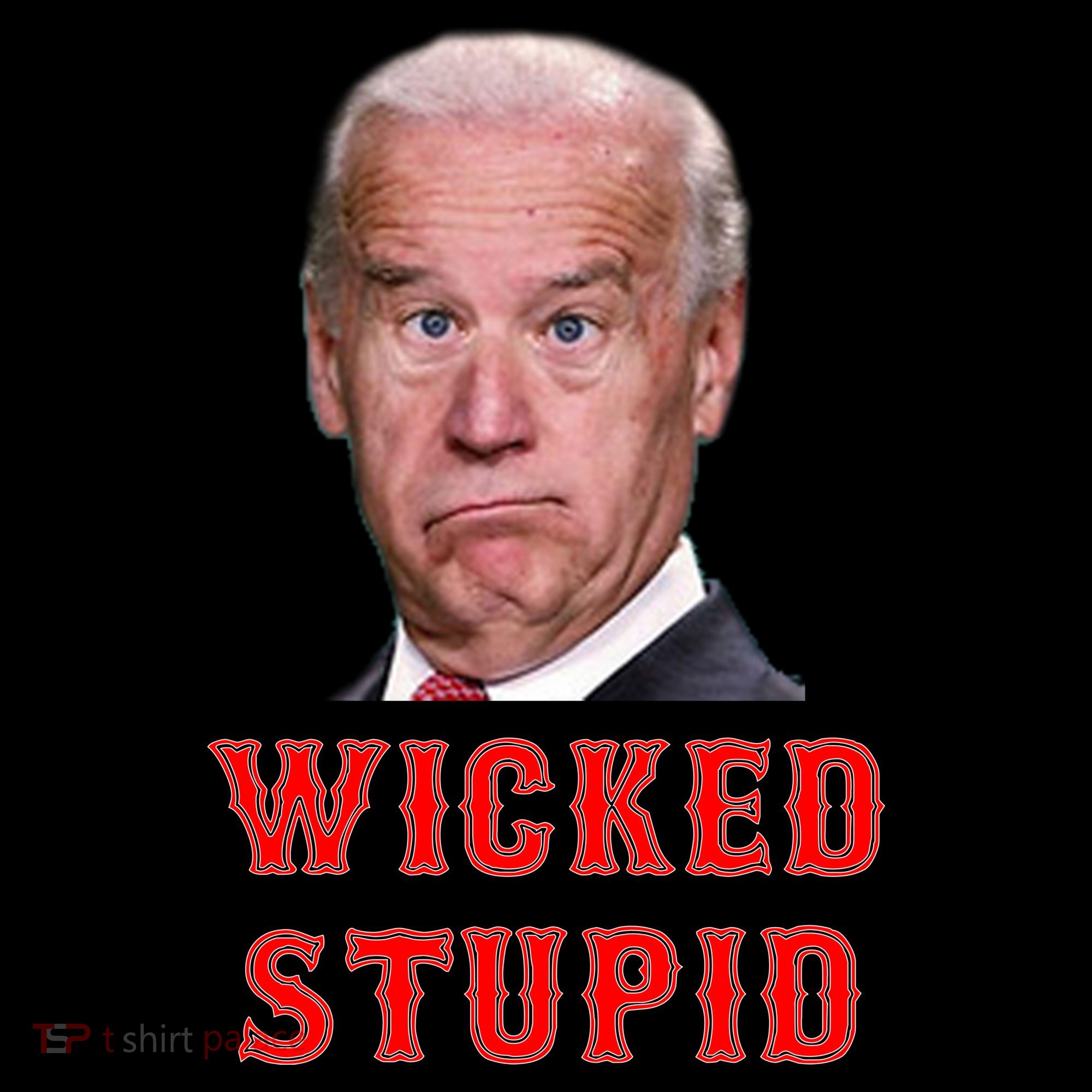 Wicked Stupid Funny Joe Biden Boston Ornament