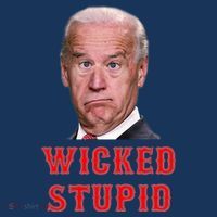 Wicked Stupid Funny Joe Biden Boston Beanie thumb 2