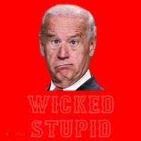 Wicked Stupid Funny Joe Biden Boston Santa Hat thumb 1