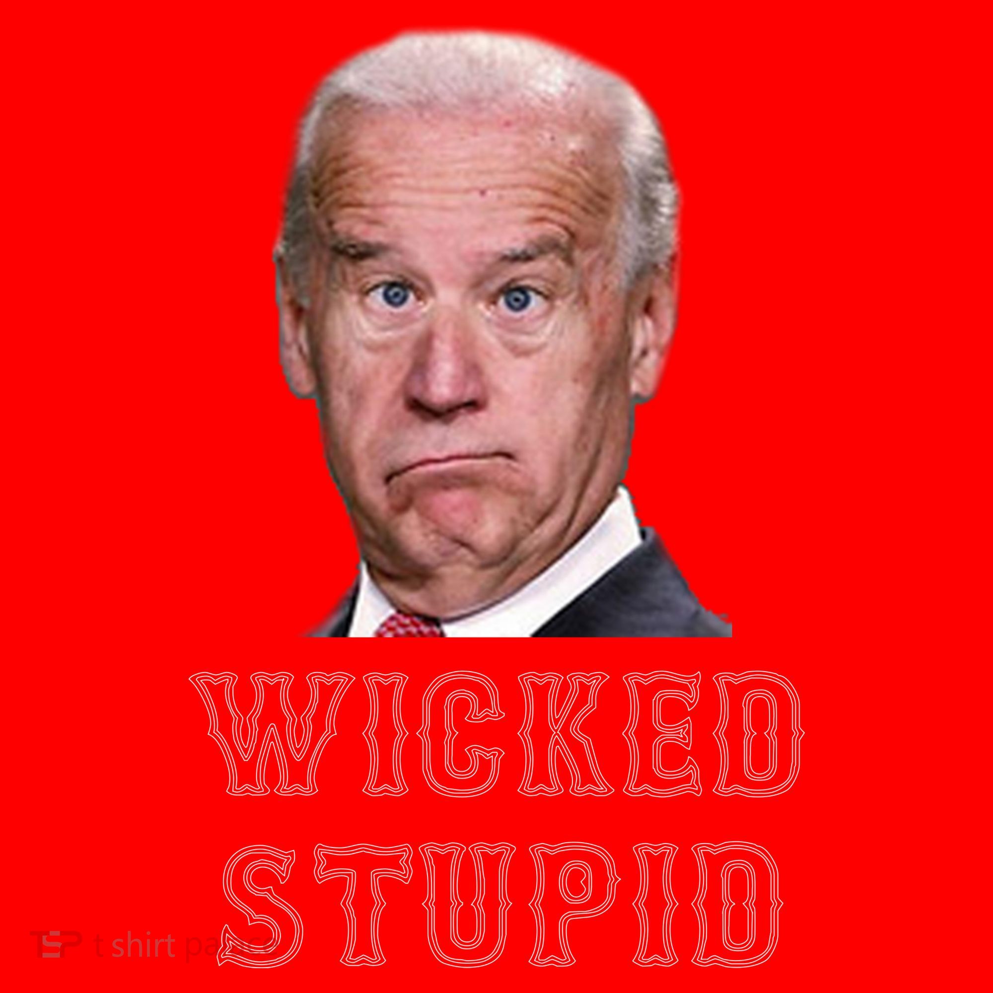 Wicked Stupid Funny Joe Biden Boston Santa Hat