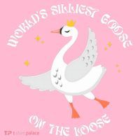 World's Silliest Goose On The Loose Funny Coaster thumb 2