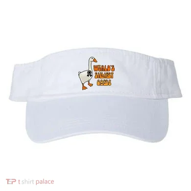 Visor