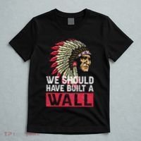 We Should Have Build A Wall Native American T-Shirt thumb 5