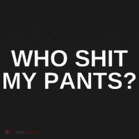 Who Shit My Pants Funny Offensive Dark Humor College Novelty Hoodie thumb 2