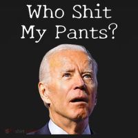 Who Shit My Pants Funny Anti Joe Biden Ornament thumb 1