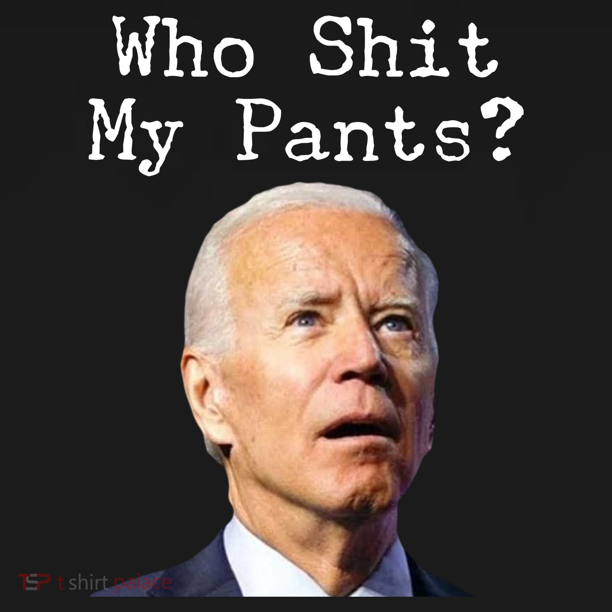 Who Shit My Pant's Funny Anti Joe Biden Ornament