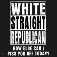 White Straight Republican How Else Can I Piss You Off Today Ornament thumb 1