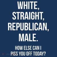 White, Straight, Republican, Male Funny Republican T-Shirt thumb 7