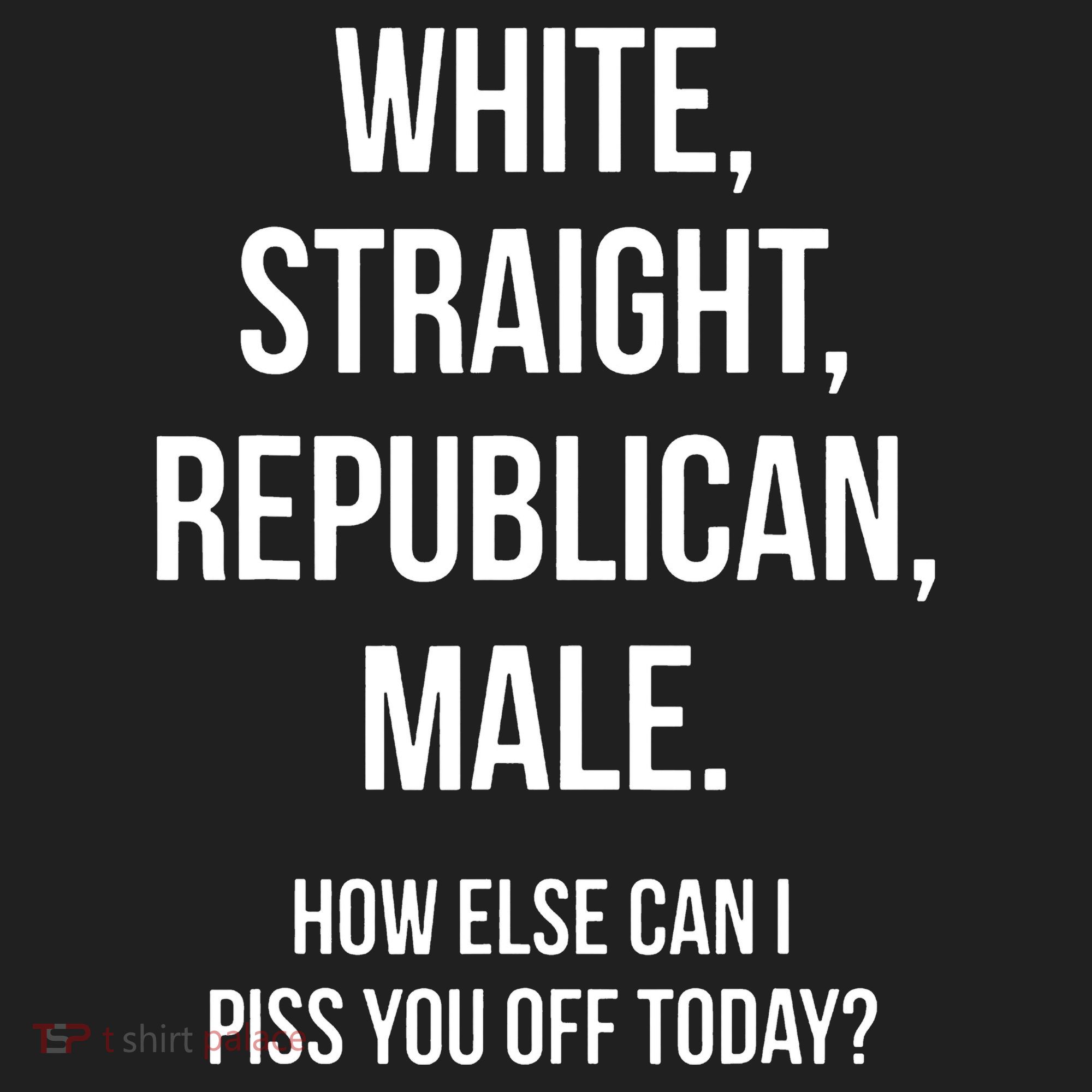 White Straight Republican Male Funny Republican Beanie