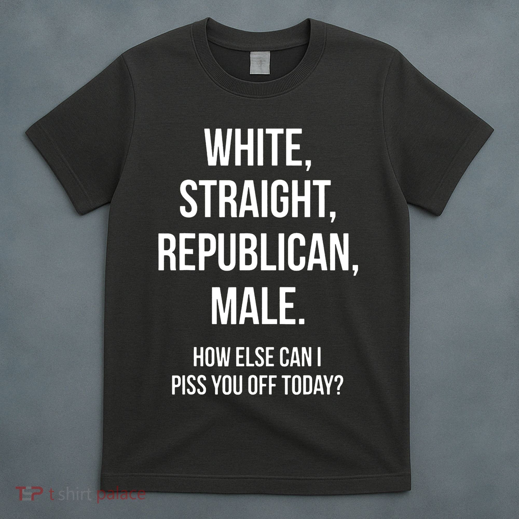 White Straight Republican Male Funny Republican T-Shirt