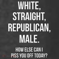 White Straight Republican Male Funny Republican T-Shirt thumb 5
