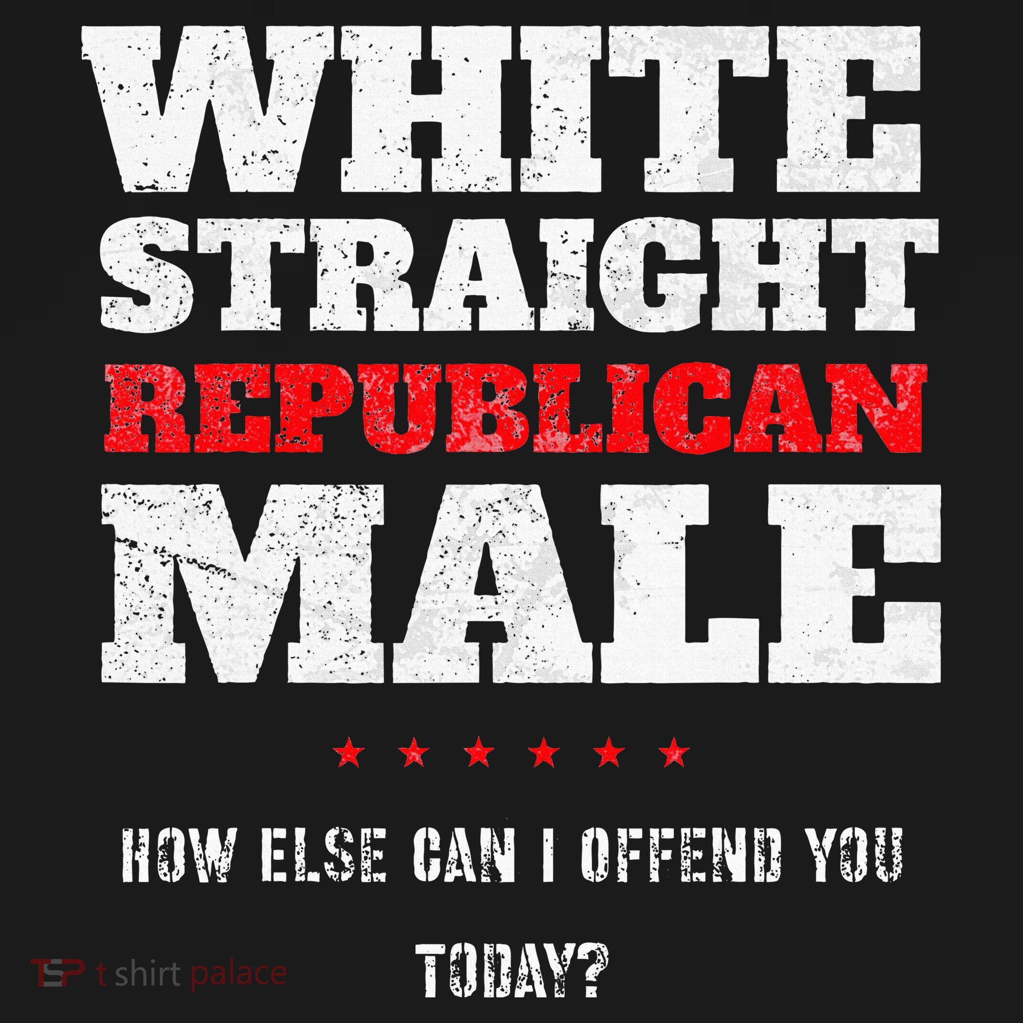 White Straight Republican Male How Else Can I Offend Apron