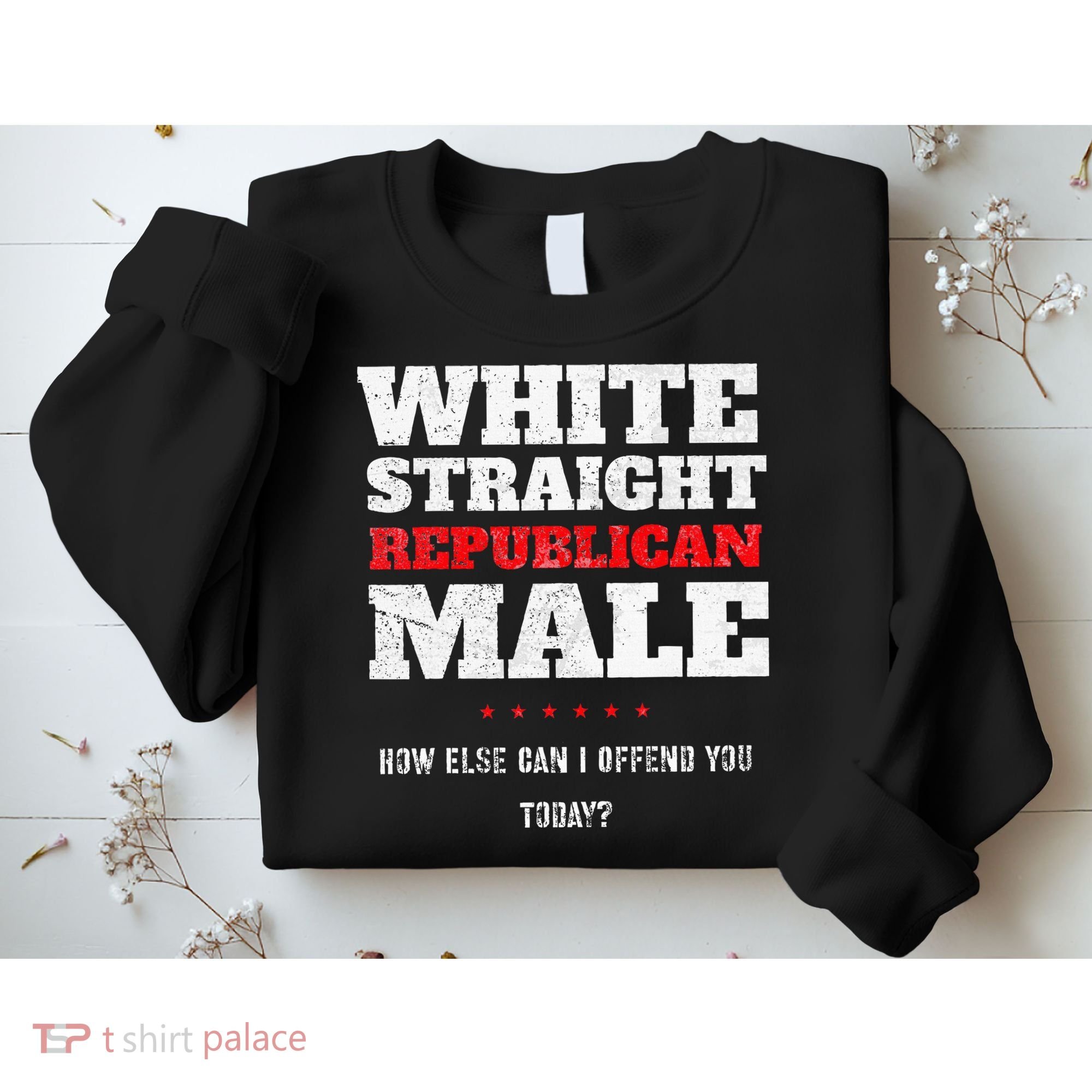 White Straight Republican Male How Else Can I Offend Sweatshirt