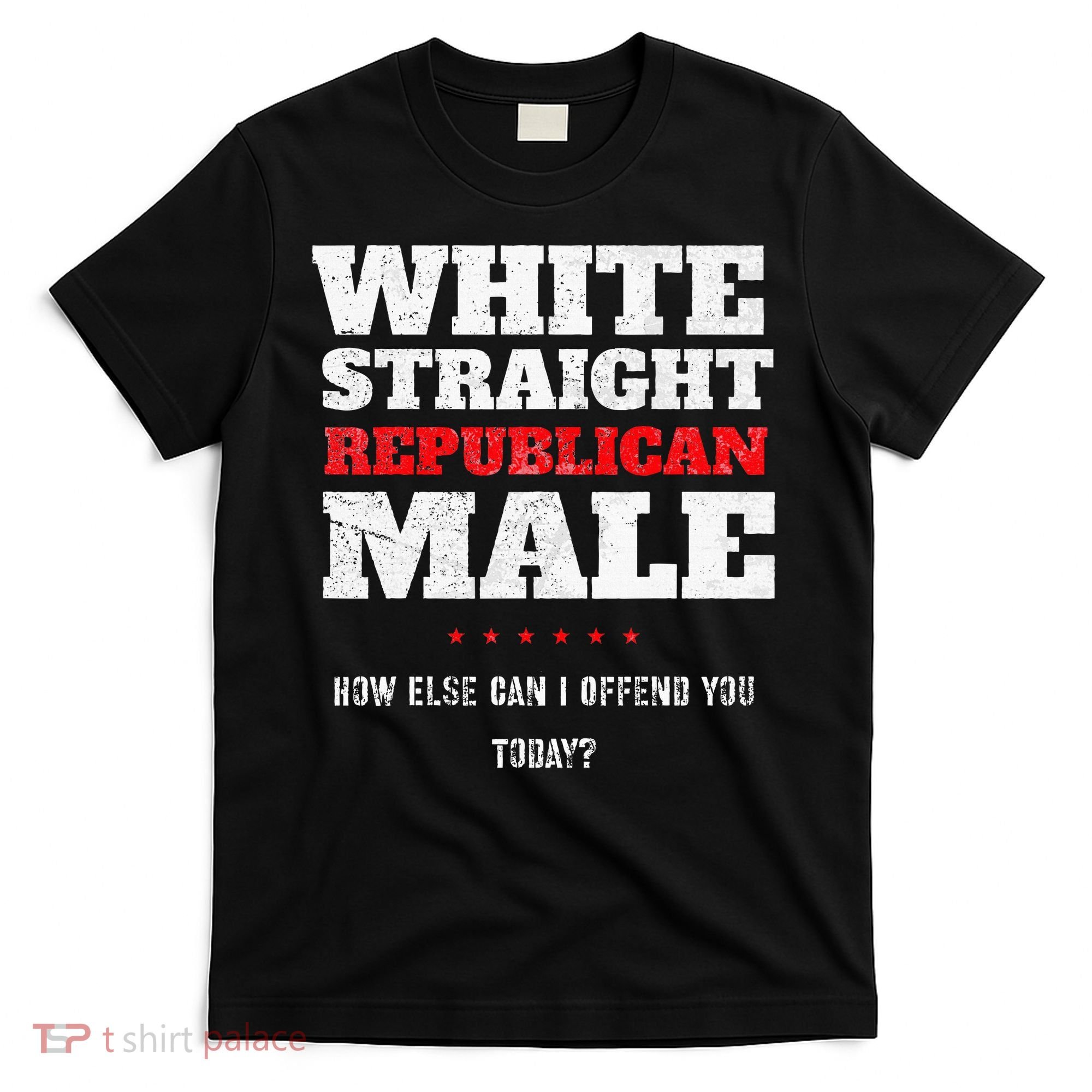 White Straight Republican Male How Else Can I Offend T-Shirt