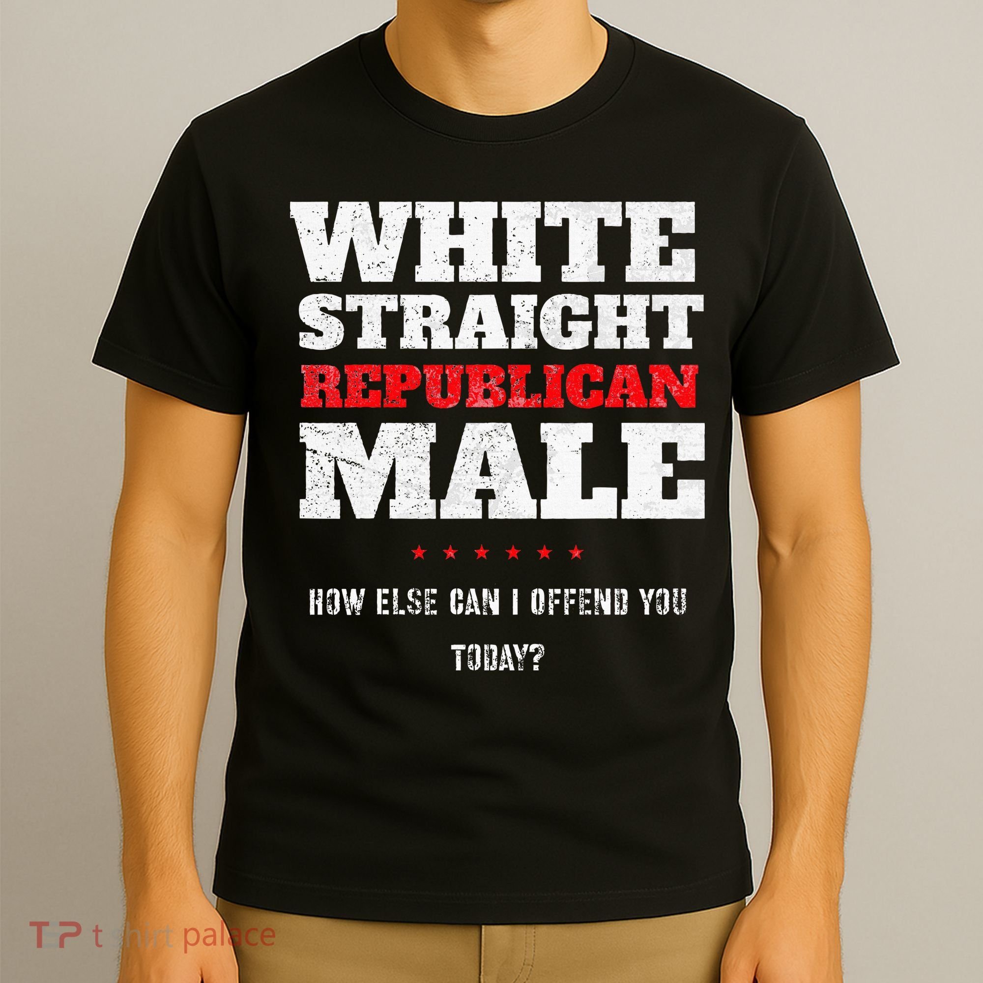 White Straight Republican Male How Else Can I Offend T-Shirt