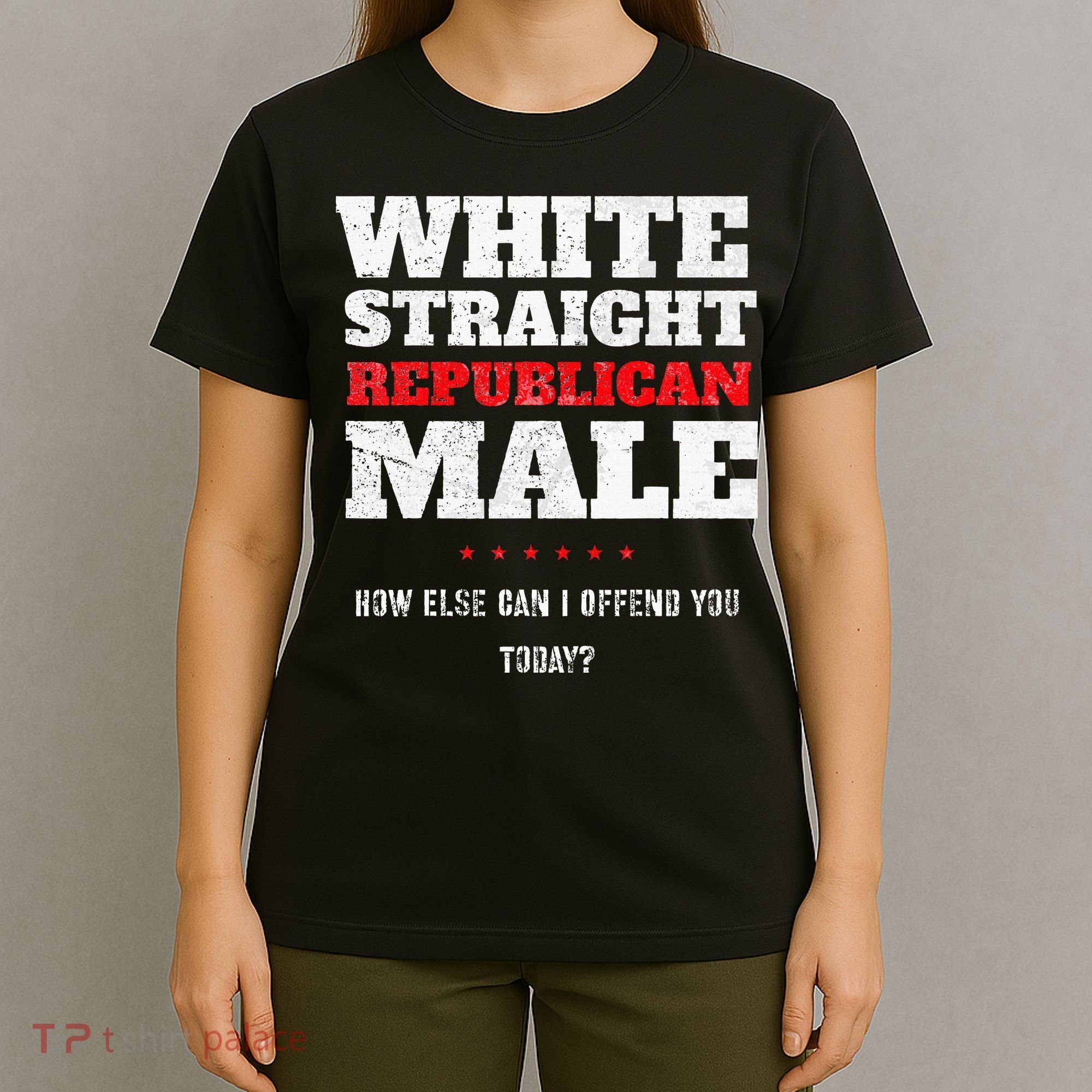 White Straight Republican Male How Else Can I Offend T-Shirt