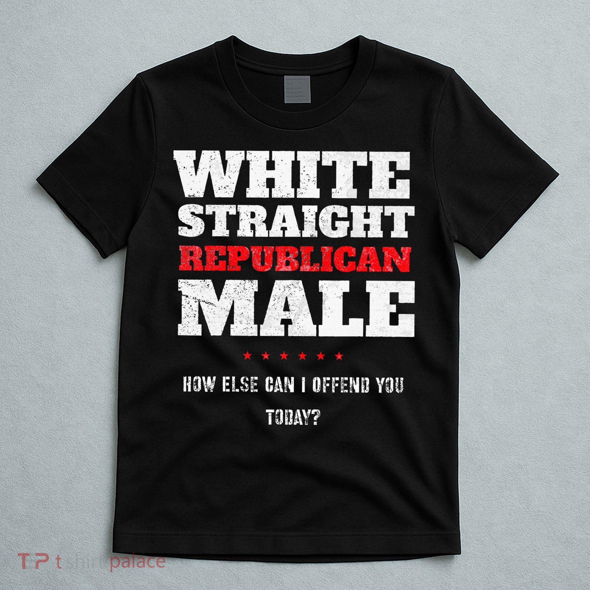 White Straight Republican Male How Else Can I Offend T-Shirt