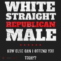 White Straight Republican Male How Else Can I Offend Beanie thumb 2
