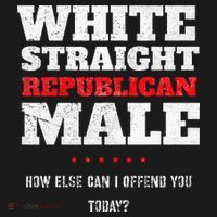 White Straight Republican Male How Else Can I Offend Women's Hoodie thumb 2