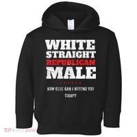 White Straight Republican Male How Else Can I Offend Toddler Hoodie thumb 0