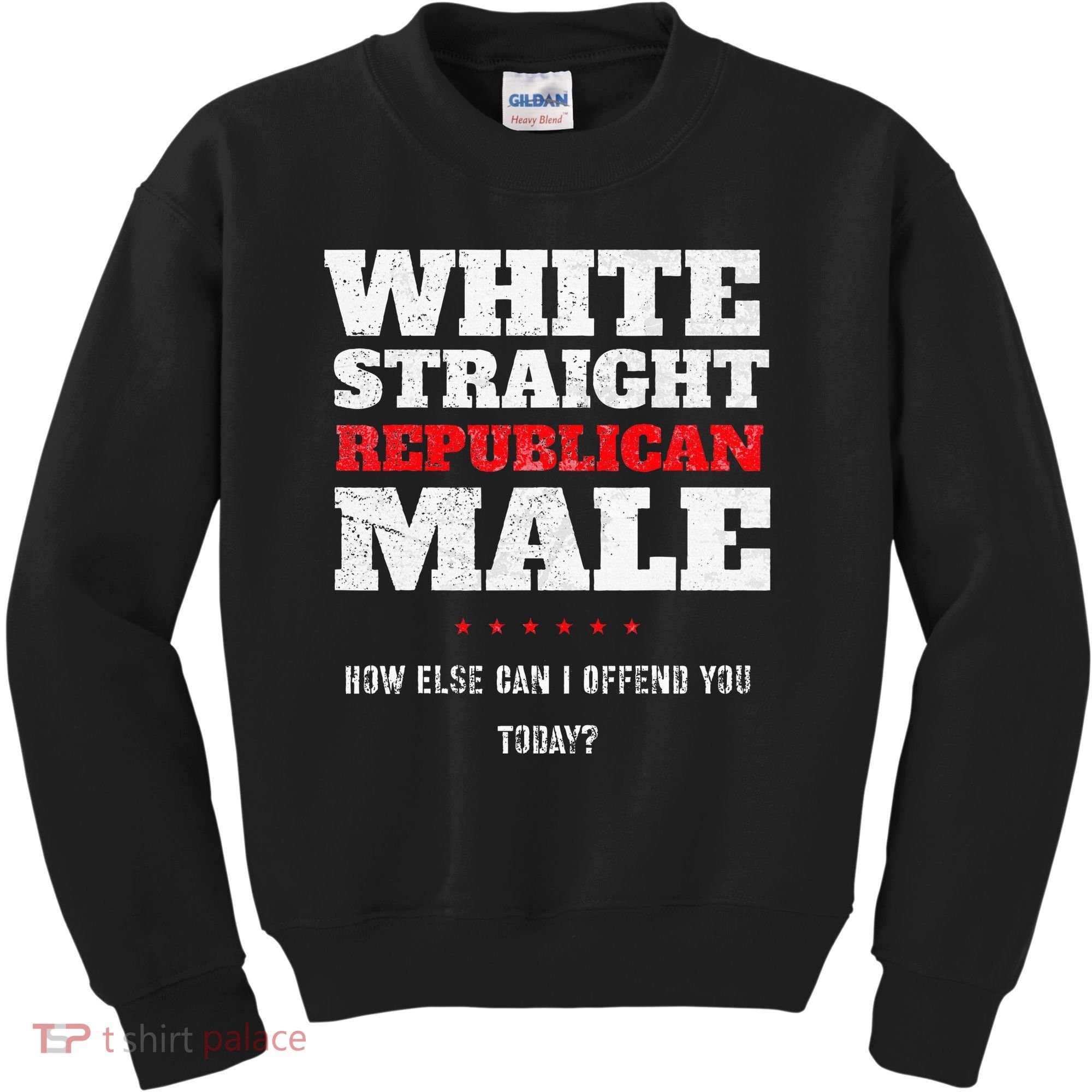 White Straight Republican Male How Else Can I Offend Kids Sweatshirt