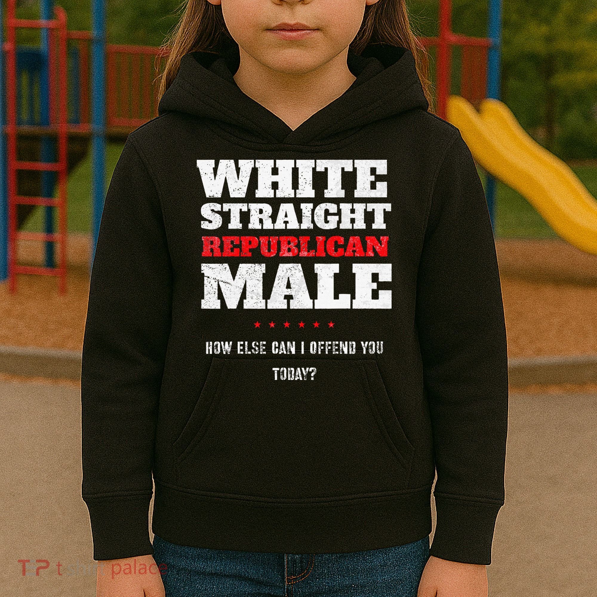 White Straight Republican Male How Else Can I Offend Kids Hoodie