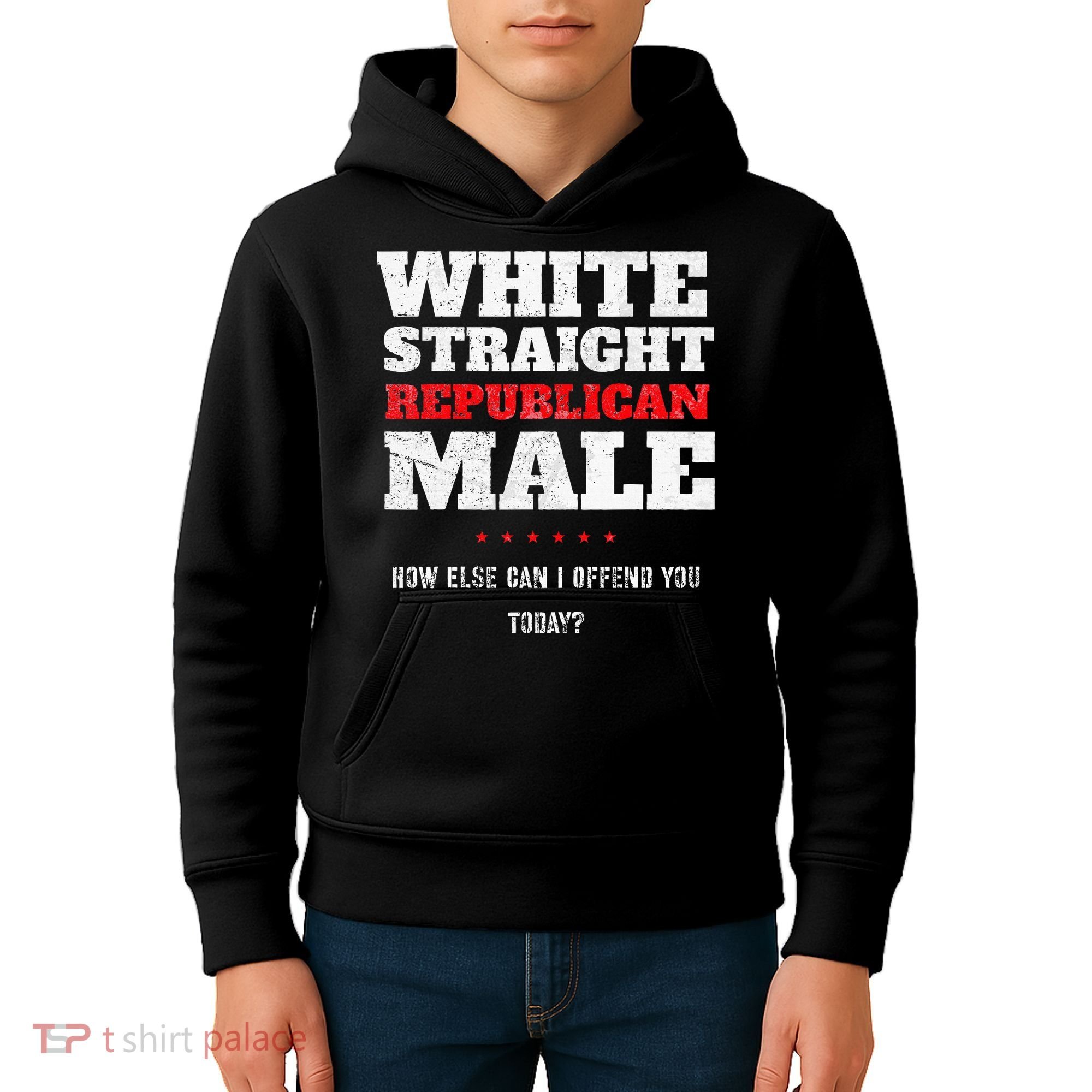White Straight Republican Male How Else Can I Offend Kids Hoodie