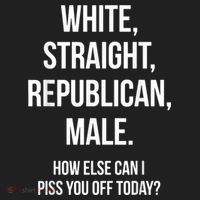 White, Straight, Republican, Male Funny Republican Hat thumb 2
