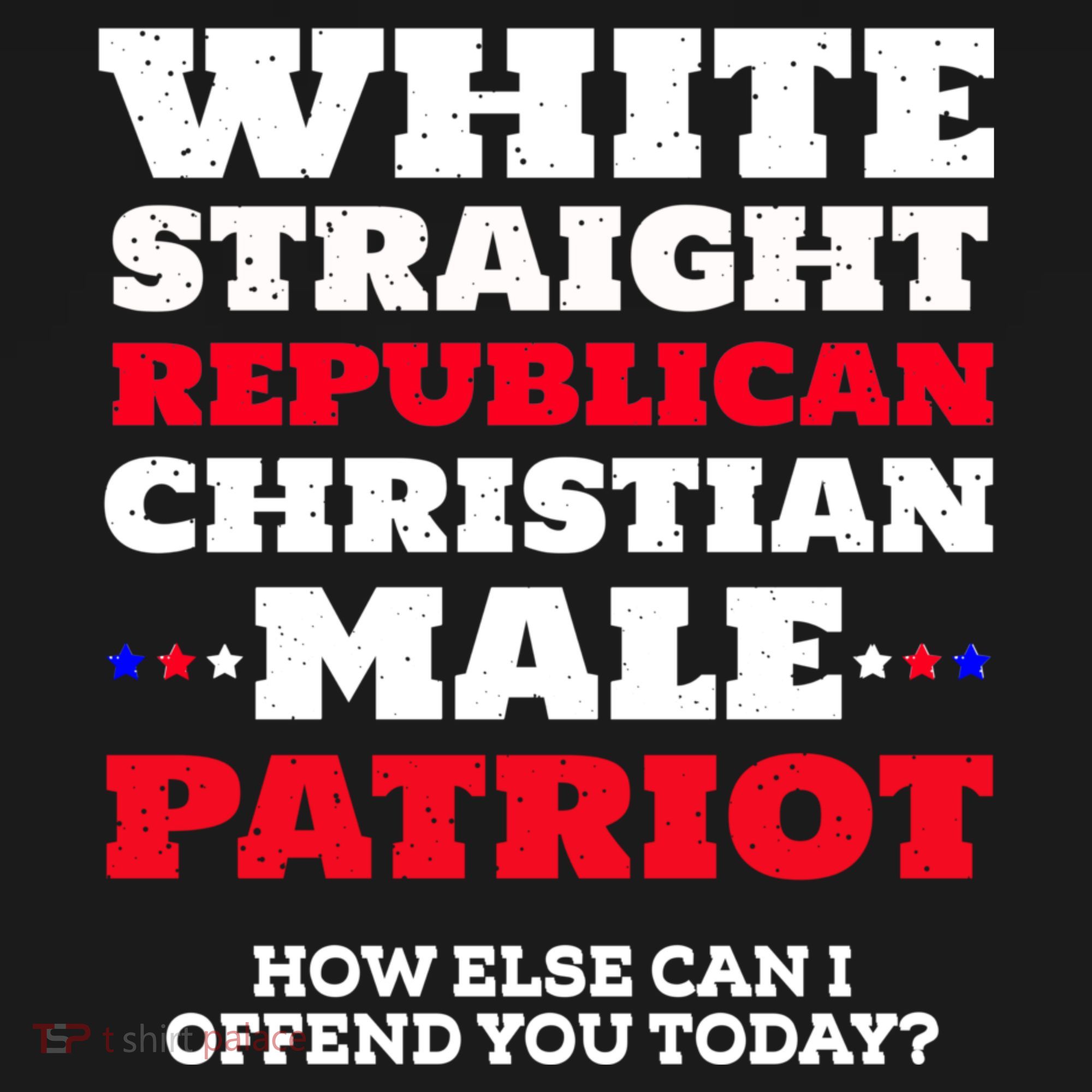 White Straight Republican Christian Male Patriot Women's Hoodie