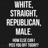 White, Straight, Republican, Male Funny Republican Women's Tank Top thumb 5