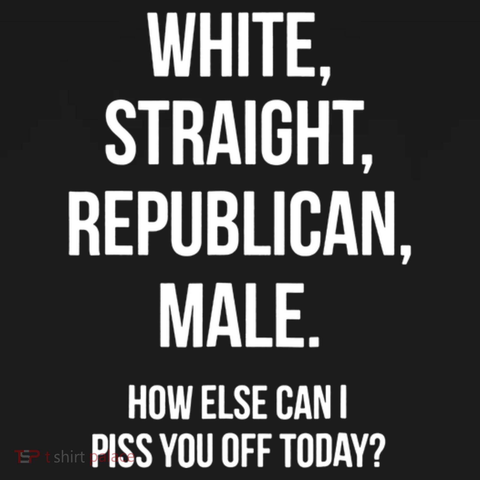 White, Straight, Republican, Male Funny Republican Kids Sweatshirt