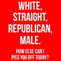 White, Straight, Republican, Male Funny Republican Santa Hat thumb 1