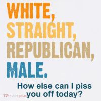 White Straight Republican Male Piss You Off Funny T-Shirt thumb 7