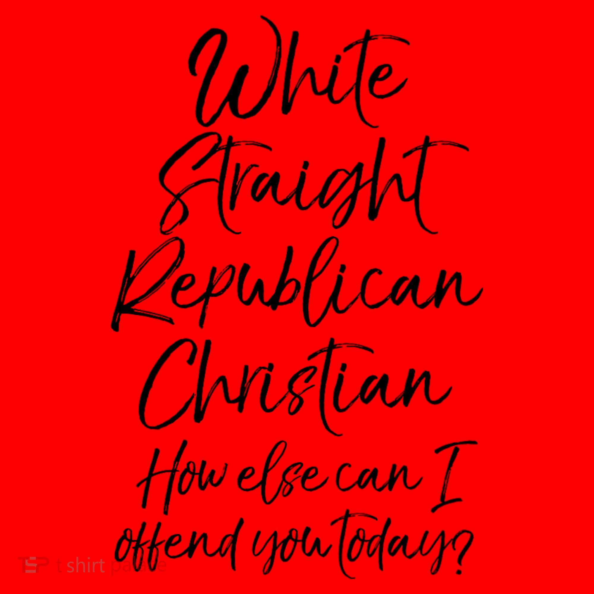 White Straight Republican Christian How Else Can I Offend Santa Hat