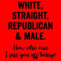 White Straight Republican Male I Piss You Off Today Santa Hat thumb 1