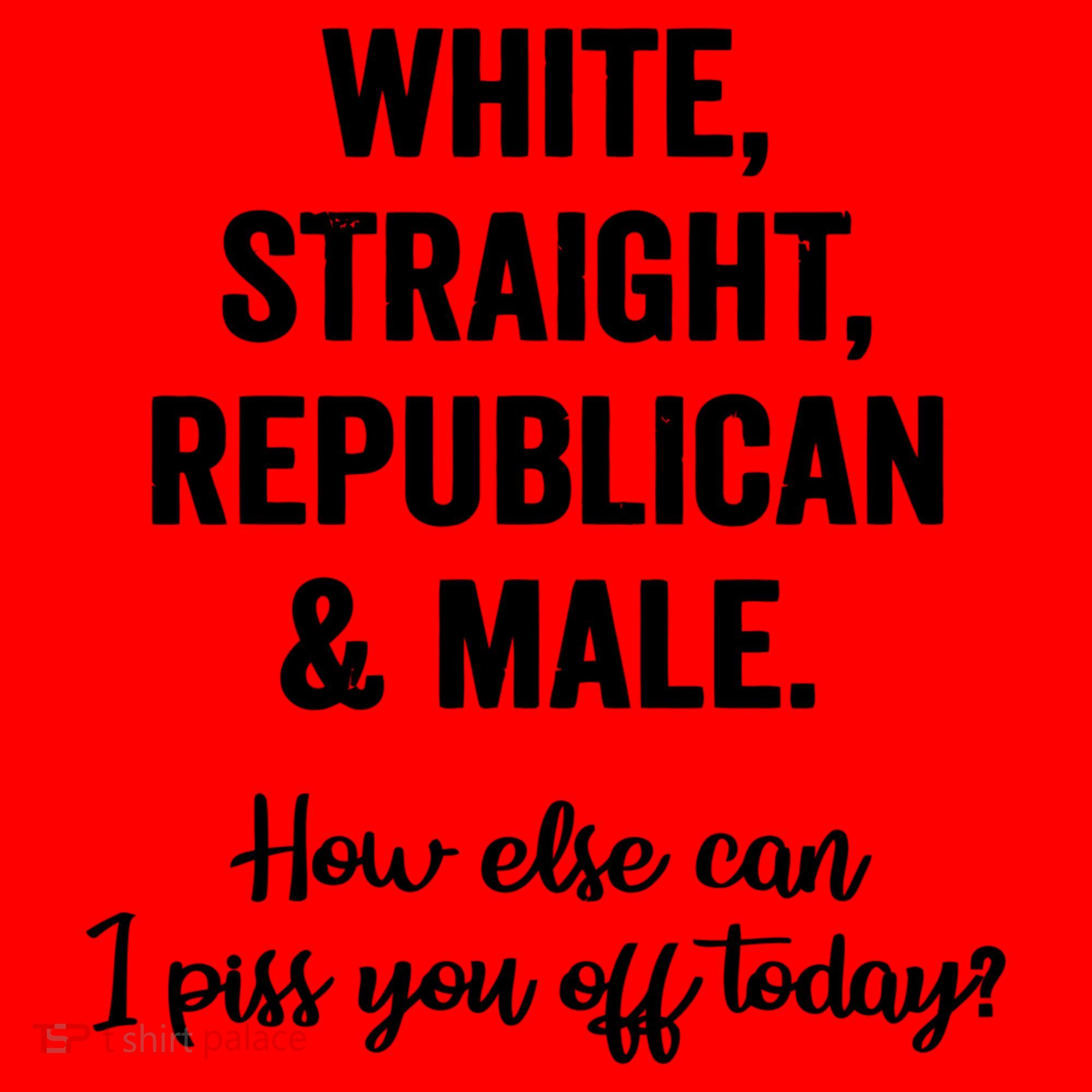 White Straight Republican Male I Piss You Off Today Santa Hat