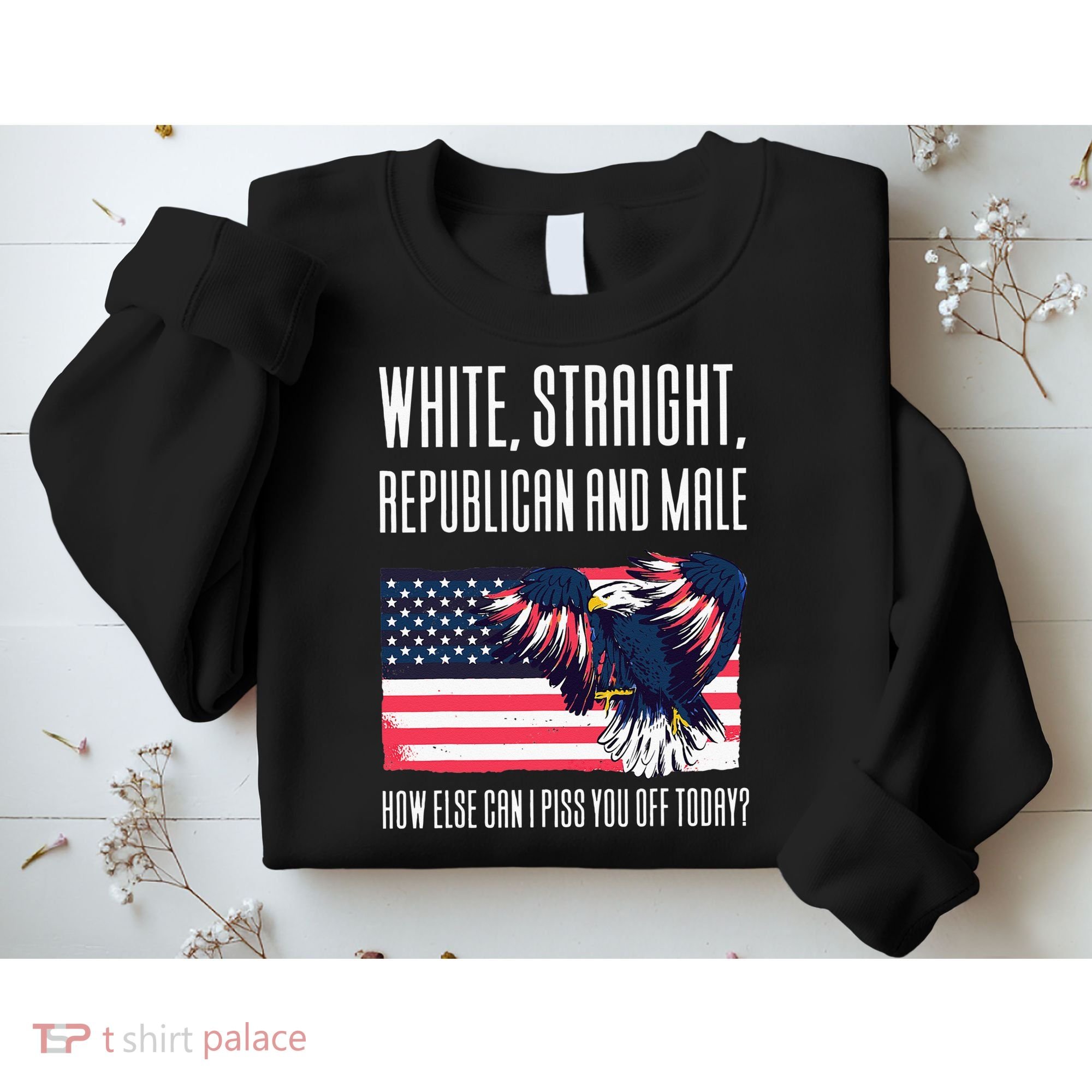 White Straight Republican Male Sweatshirt