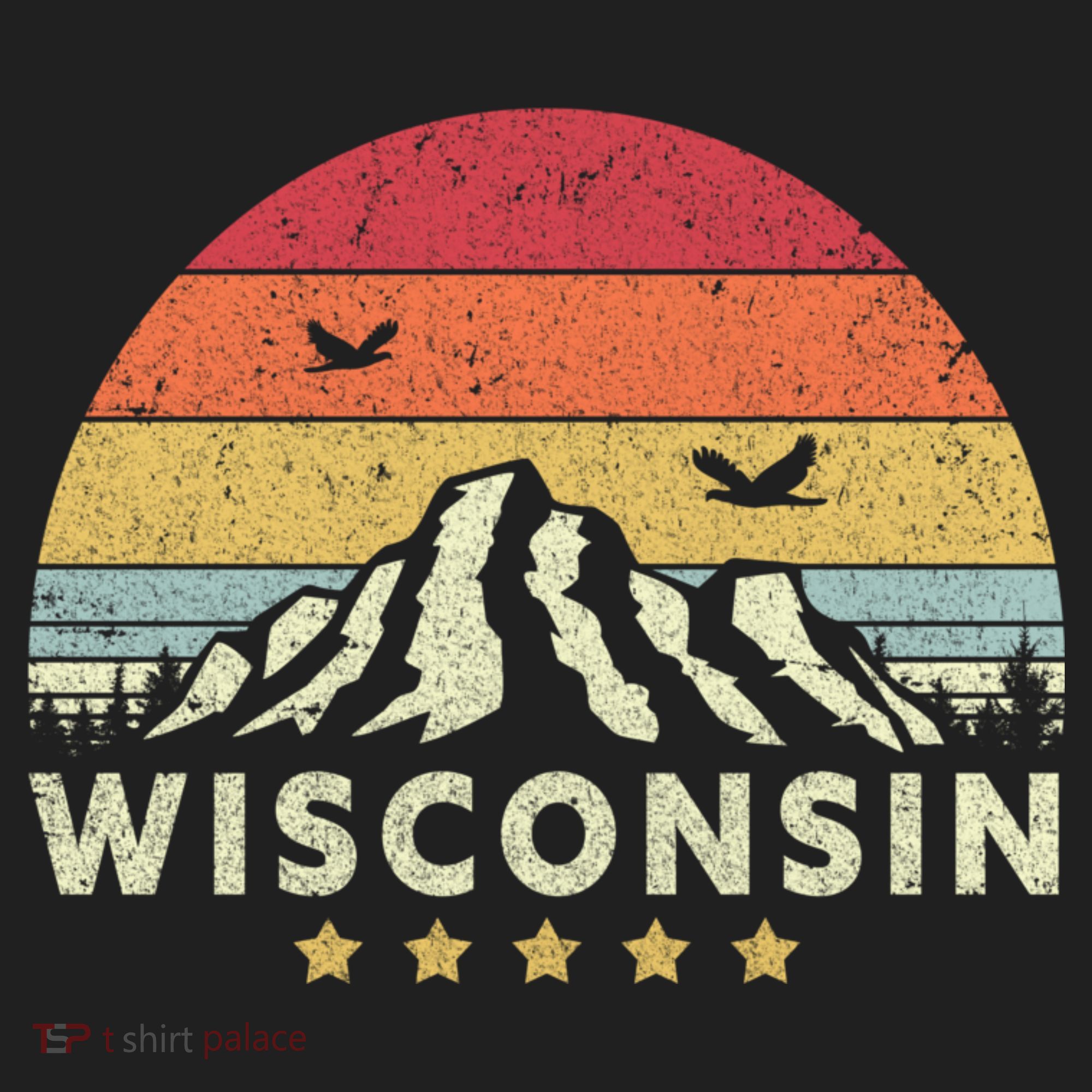 Wisconsin Shirt. Retro Style WI, USA Hat