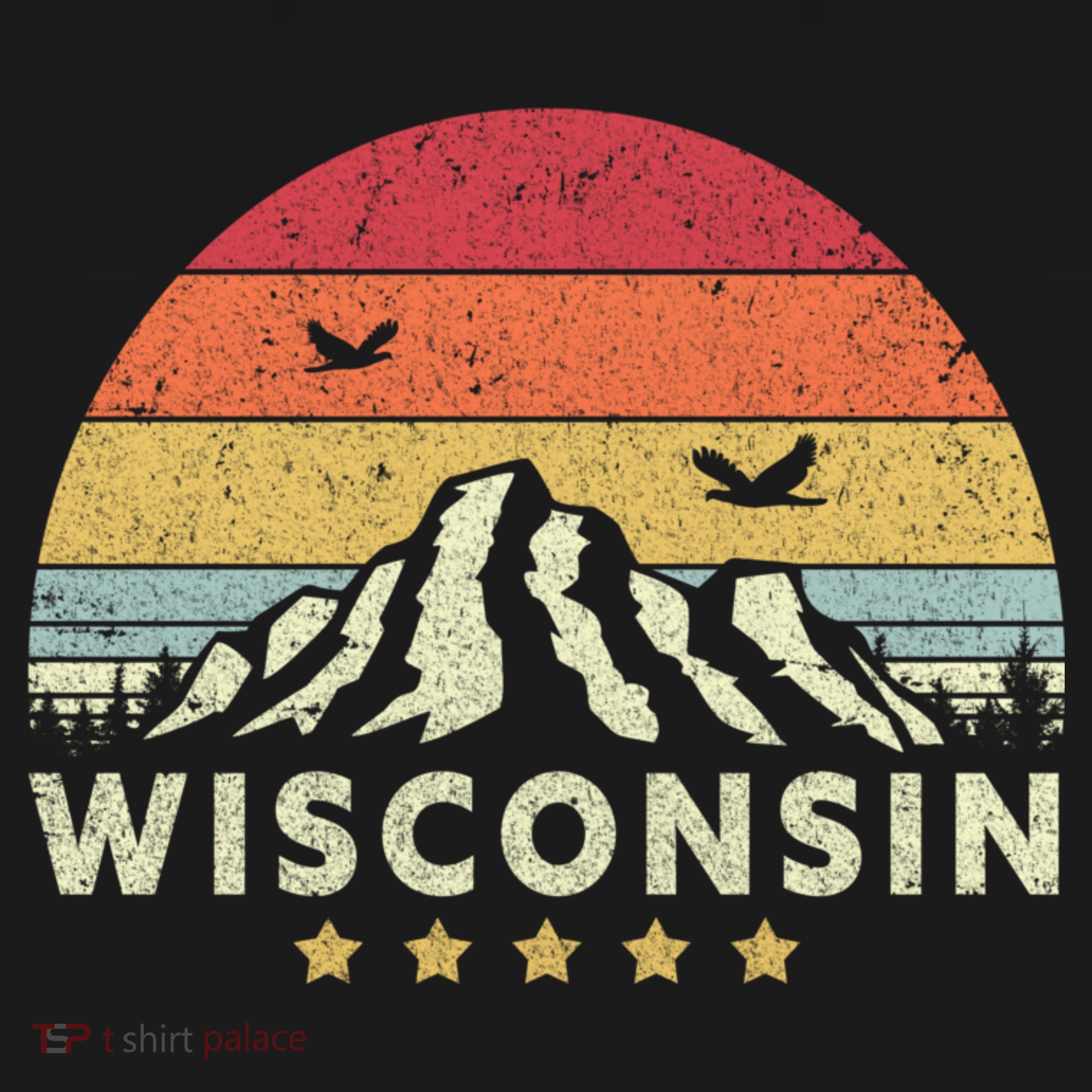 Wisconsin Shirt. Retro Style WI, USA Women's Long Sleeve Shirt