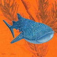Whale Shark Scuba Diving Snorkeling Kati Licensed 12" Camo Cuffed Beanie thumb 2