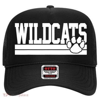 Wildcats School Spirit Hat
