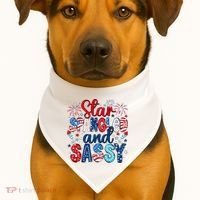 Western Star Spangled And Sassy USA-Made Doggie Bandana thumb 1