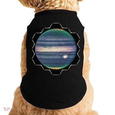 Webb Space Telescope New Image Jupiter Jwst Doggie Tank