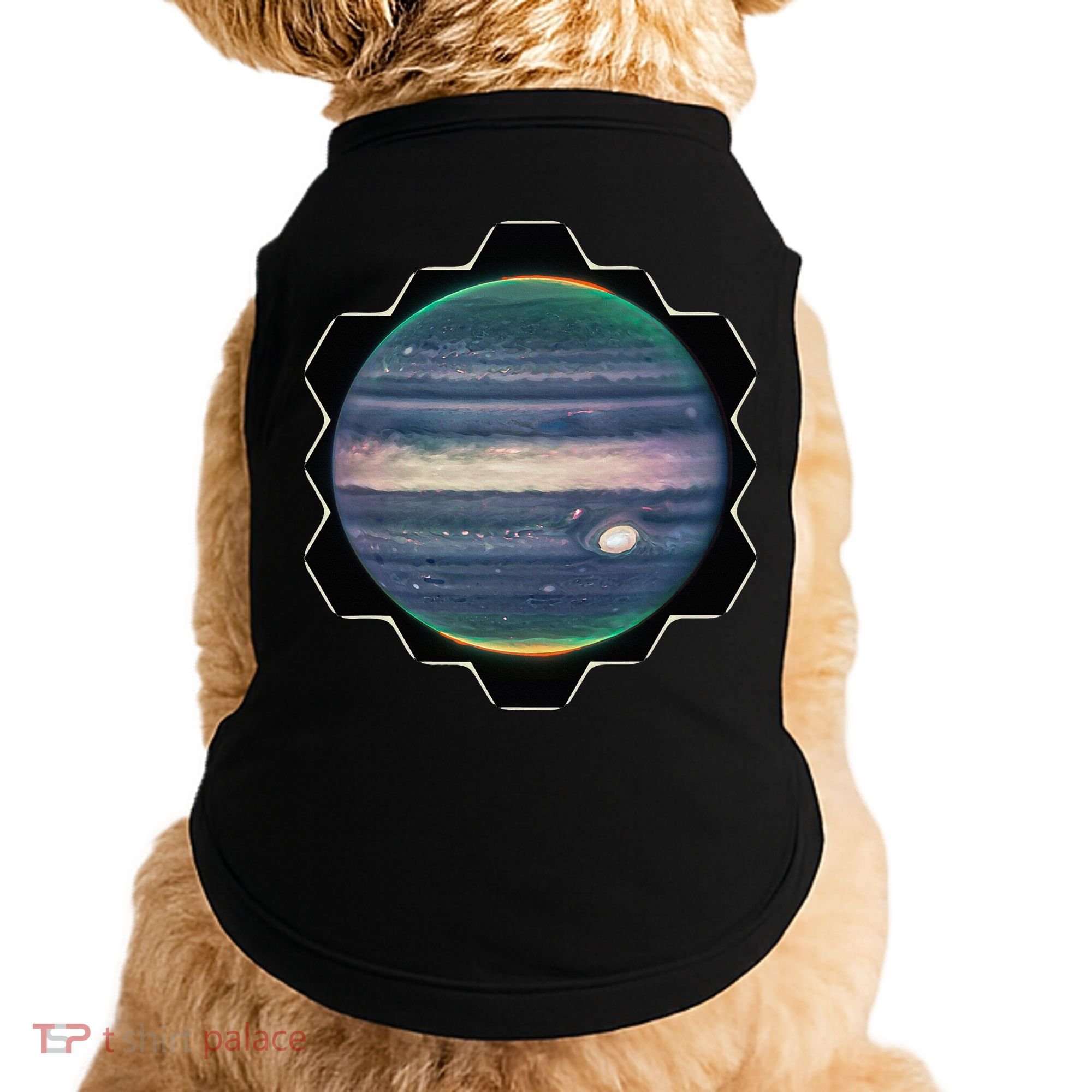 Webb Space Telescope New Image Jupiter Jwst Doggie Tank