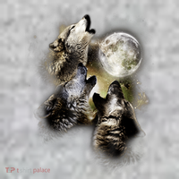Wolf Shirt Three Wolves Moon Wolf Moon The Baniff Cuffed Pom Beanie thumb 2