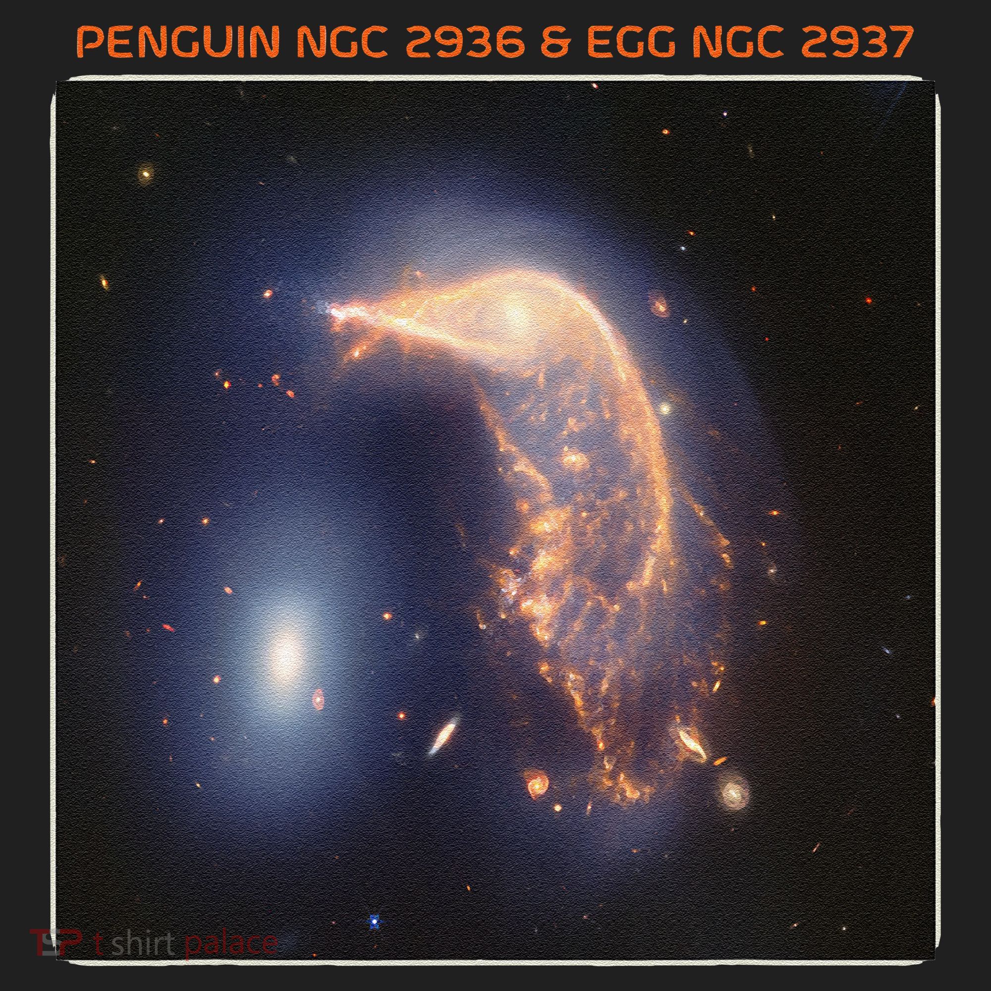 Webb Space Telescope The Penguin And Egg Ngc 2936 2937 Jwst Women's Sweatshirt
